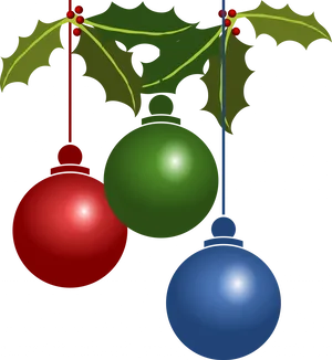 Christmas Ornaments Holly Decoration PNG