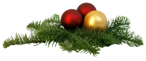 Christmas Ornamentson Pine Branch PNG Image