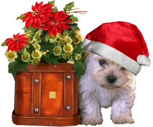 Christmas Puppy With Flowersand Santa Hat PNG Image