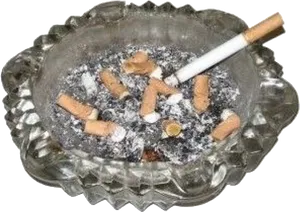 Cigarette Buttsin Ashtray.jpg PNG Image