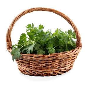 Cilantro In Basket Png Kqn72 PNG Image