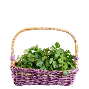 Cilantro In Basket Png Lpa PNG Image