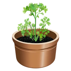 Cilantro In Pot Png Vxn PNG Image