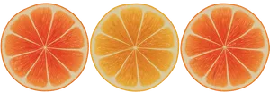 Citrus Slices Triptych PNG Image