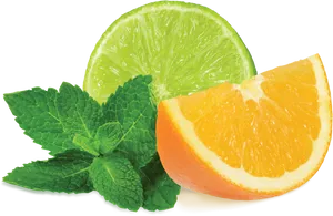 Citrusand Mint Freshness PNG Image