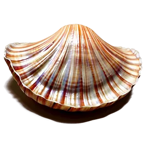 Clam Shell Drawing Png Dun89 PNG Image