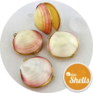 Clam Shell Purses Display PNG Image