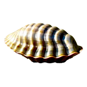 Clam Shell Silhouette Png Cvf29 PNG Image