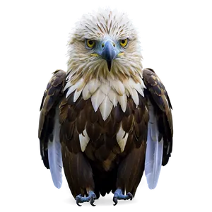 Classic Aguila Png 45 PNG Image