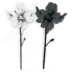 Classic Black And White Floral Png Oaj PNG Image