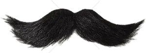 Classic Black Moustache Illustration PNG Image