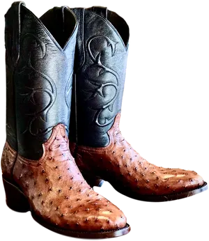 Classic Cowboy Boots Ostrich Leather PNG Image