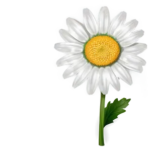 Classic Daisy Clipart Png 84 PNG Image