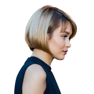 Classic Karen Haircut Png Ole45 PNG Image