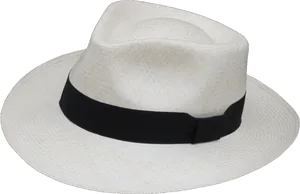 Classic Panama Hat PNG Image