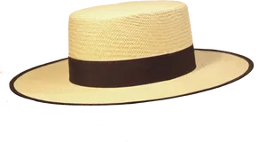 Classic Sombrero Hat Isolated PNG Image