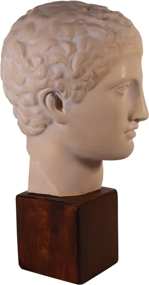 Classical Plaster Bust Sculpture PNG Image