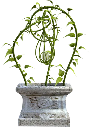 Climbing Plantin Stone Planter PNG Image