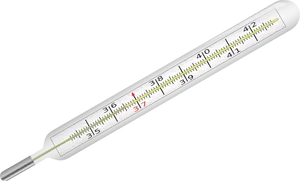 Clinical Mercury Thermometer PNG Image