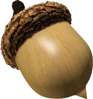 Close Up Acorn Texture PNG Image