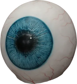 Close Up Blue Human Eyeball PNG Image