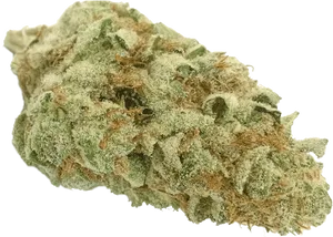 Close Up Cannabis Bud Quality PNG Image