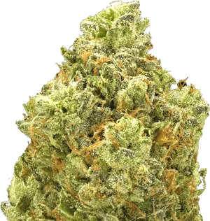 Close Up Cannabis Bud Quality PNG Image