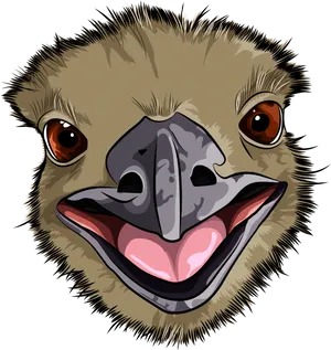 Close Up Cartoon Emu Face PNG Image