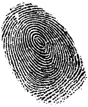 Close Up Fingerprint Texture PNG Image