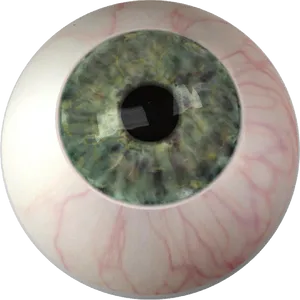 Close Up Human Iris PNG Image