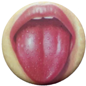 Close Up Human Tongue Texture PNG Image