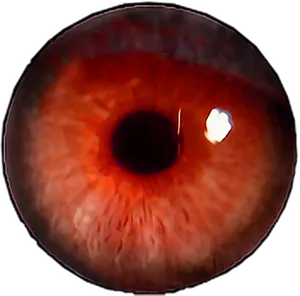 Close Up Red Human Eye PNG Image