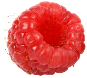 Close Up Red Raspberry PNG Image