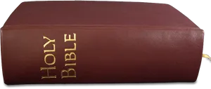 Closed Holy Bible PNG Image