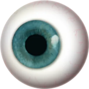 Closeup Blue Human Eyeball PNG Image