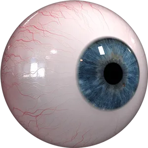 Closeup Human Eye Detail PNG Image