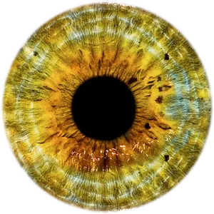 Closeup Human Eye Iris Texture PNG Image