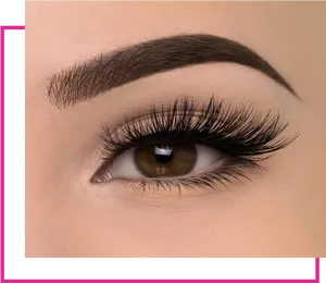 Closeup Perfect Eyebrowsand Lashes PNG Image