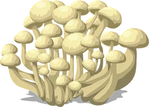 Clustered Mushrooms Illustration PNG Image