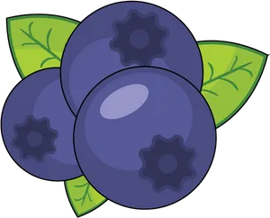 Clusterof Blueberries Illustration PNG Image