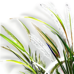 Coastal Ornamental Grass Png Xfs PNG Image