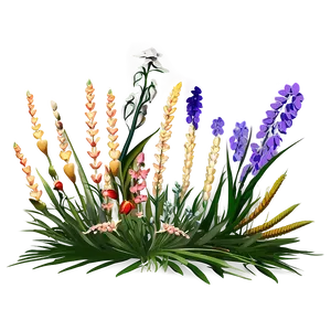 Coastal Wildflowers Scene PNG Vyl57 PNG