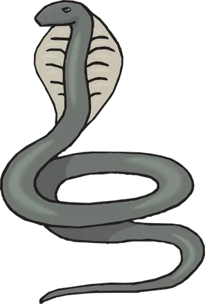 Cobra Illustration.png PNG Image