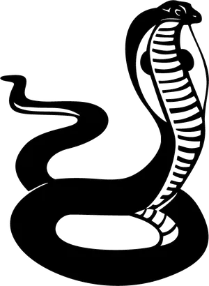 Cobra Silhouette Graphic PNG Image