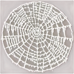 Cobweb Pattern Png 06132024 PNG Image