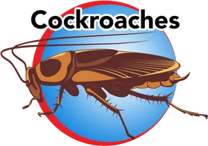 Cockroach Illustration Graphic PNG Image