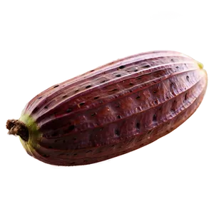 Cocoa Pods Harvest Png Gal71 PNG Image