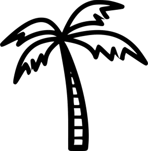 Coconut Tree Line Art PNG Image