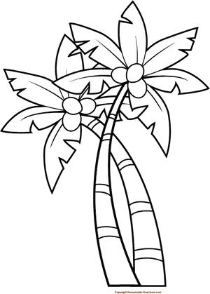 Coconut Trees Blackand White Illustration PNG Image