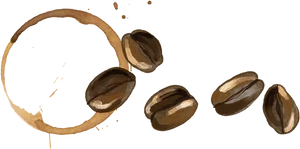 Coffee Stainand Beans Artwork PNG Image